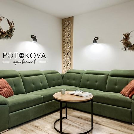 Potokova Apartament Centrum Zakopane Exterior foto