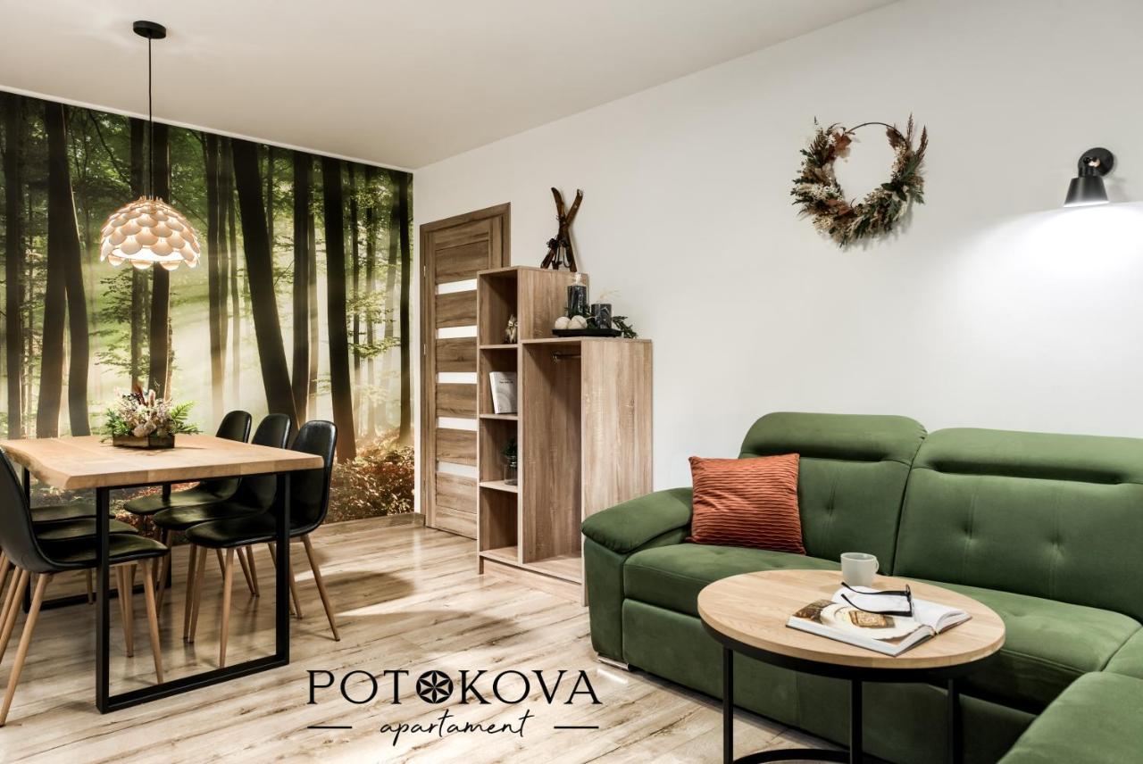 Potokova Apartament Centrum Zakopane Exterior foto